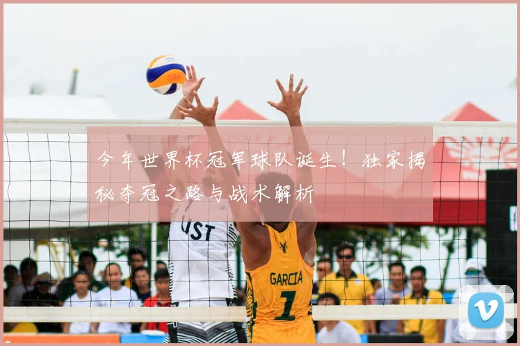 今年世界杯冠军球队诞生！独家揭秘夺冠之路与战术解析